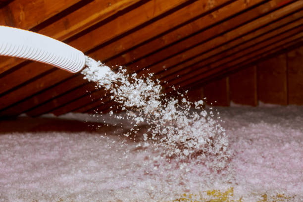 Best Insulation Maintenance and Repair in St Charles, IL