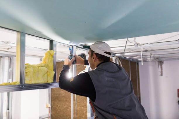 Best Residential Insulation in St Charles, IL